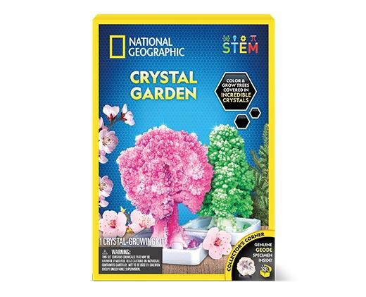 National Geographic Children's STEM Activity Kit