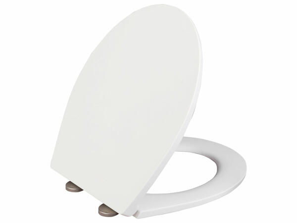 Toilet Seat