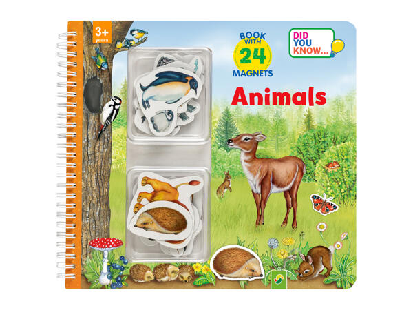 Kids' Magnetic Book