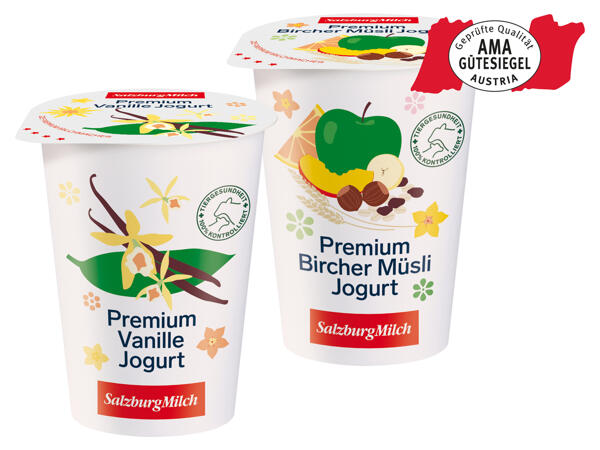 SalzburgMilch Joghurt