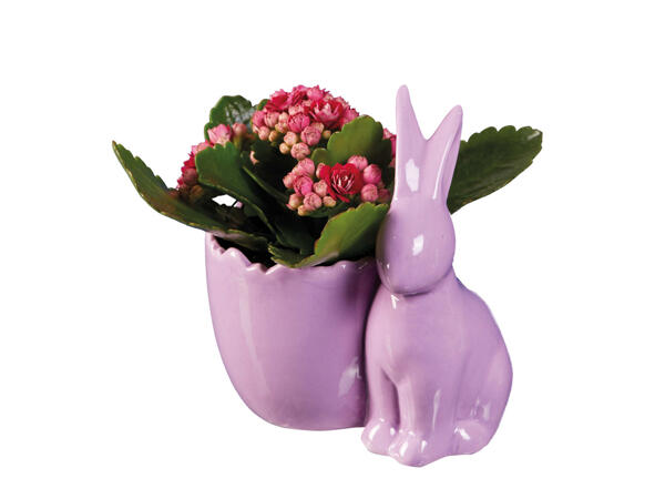 Easter Ceramic Bunny Plant