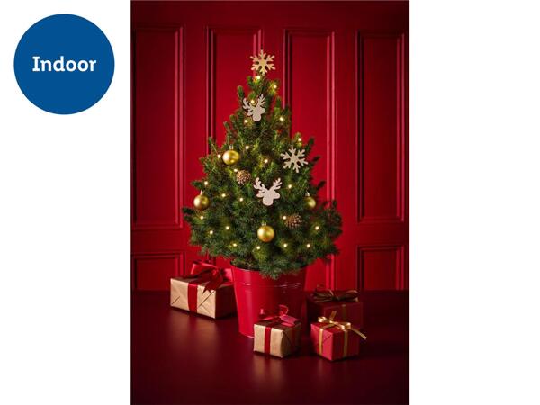 Christmas Tree with Lights and Decorations