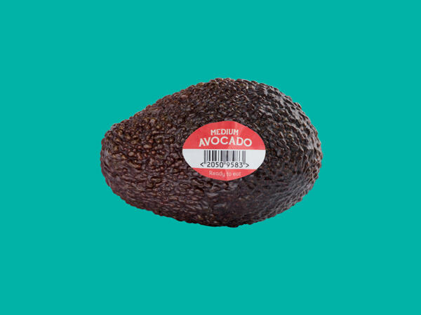 Medium Avocado