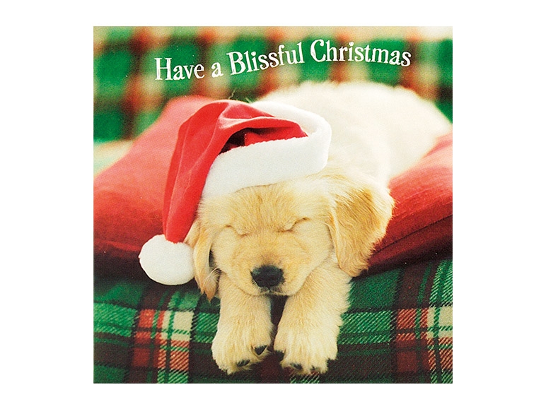 Mini Christmas Cards