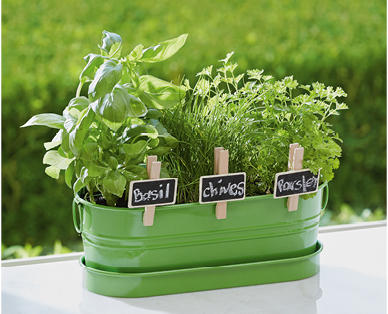 All-In-One Windowsill Garden Kit