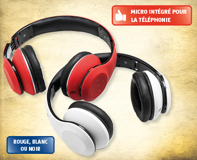 Écouteurs Bluetooth TERRIS