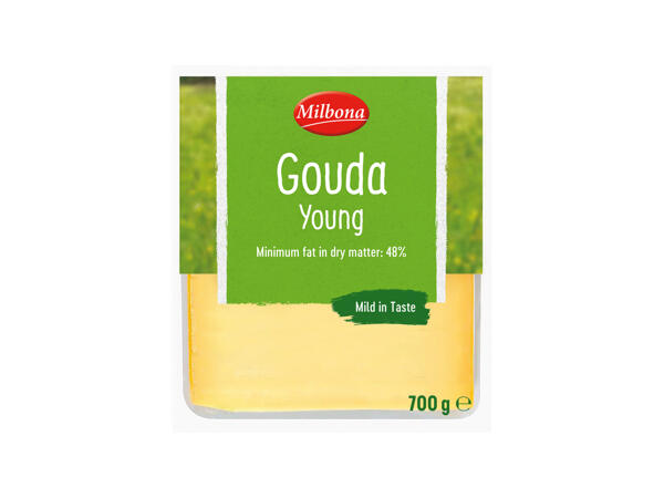 Gouda Cheese