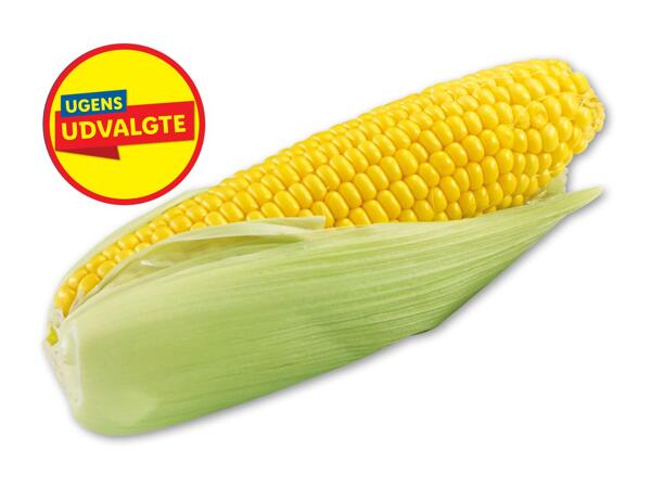 Nyhøstede majs
