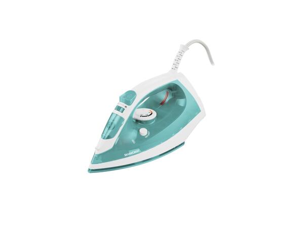 Steam iron