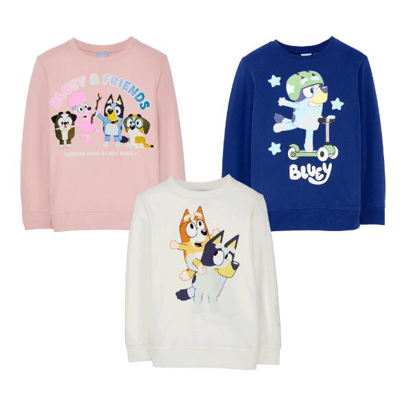 BBC STUDIOS(R) 				Pull Bluey(R)