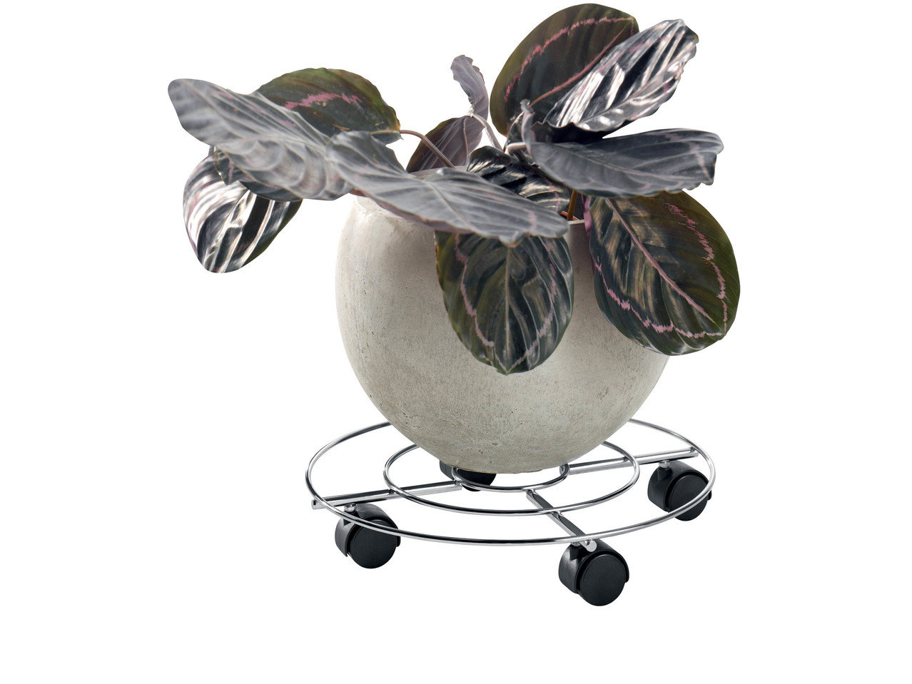 LIVARNO LIVING Plant Roller