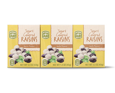 Southern Grove 6pk Vanilla Yogurt Raisins