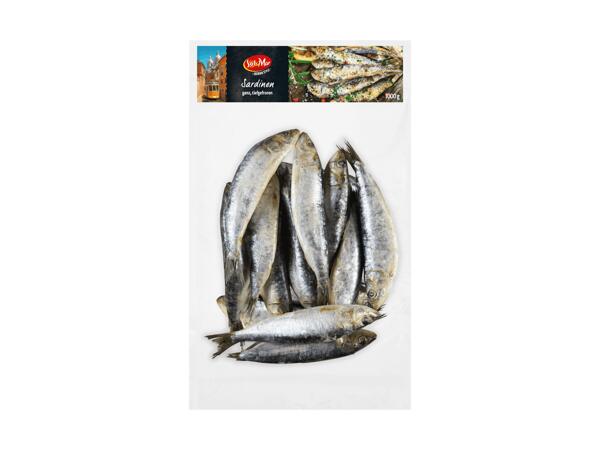 Sardinen