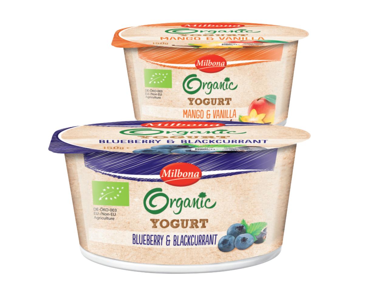 Creamy Organic Yoghurt