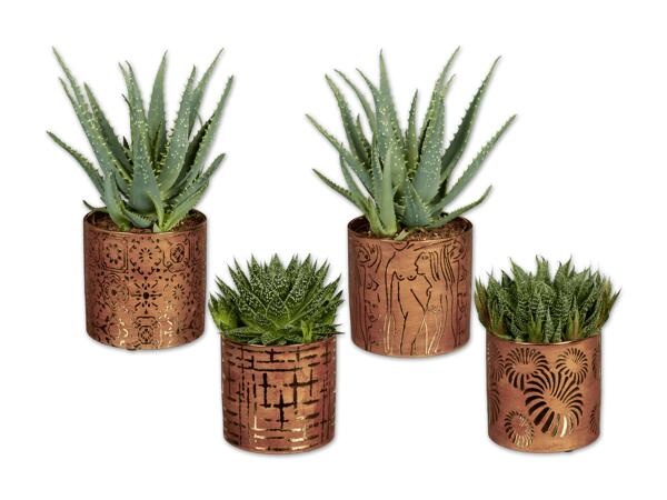Aloe in Kupfer-Gold Keramik