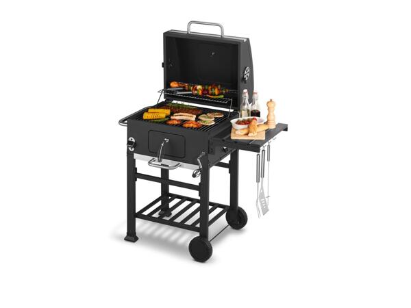 Grillmeister Charcoal Barbecue