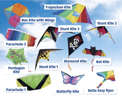 Kite