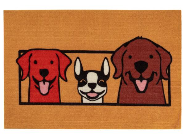 Doormat, 40 x 60cm