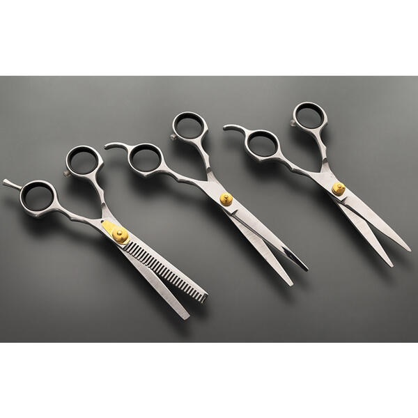 Profi-Friseurschere