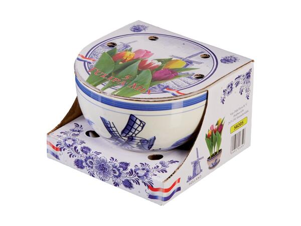 Spring Bulbs in Ceramic Bowl