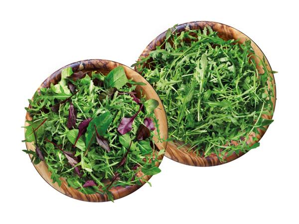 Mix-Salat oder Rucola
