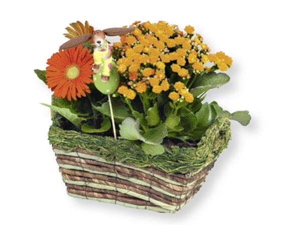 Easter Bunny Basket