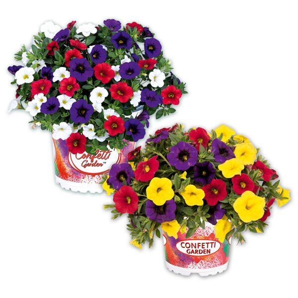 Confetti Garden Trio Mix