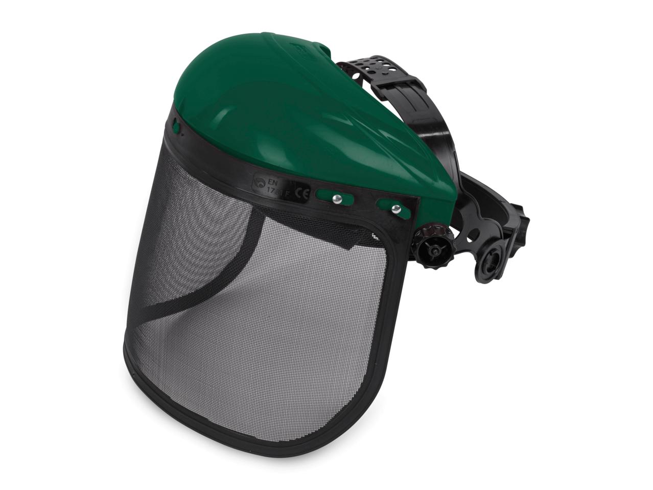 Forestry Helmet