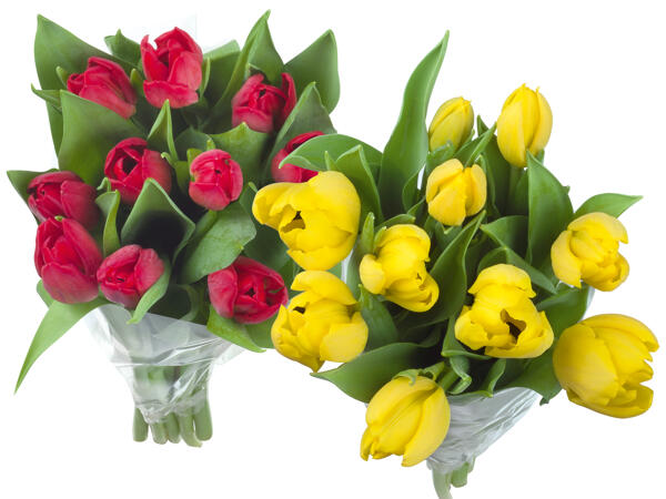 Tulpenstrauß