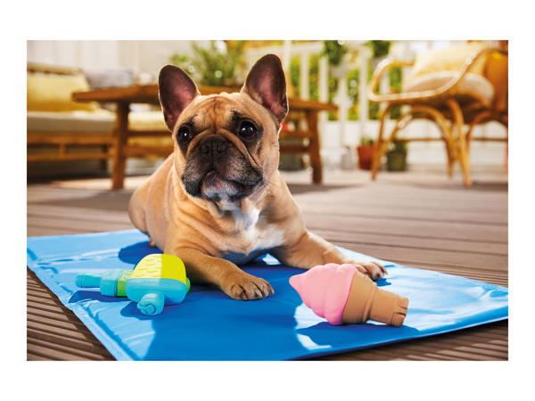 Zoofari Ice Lolly & Ice Cream Dog Chew Toy1