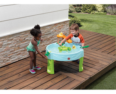 Step2 Duck Pond Water Table