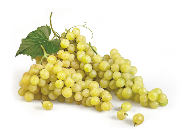 White Grapes