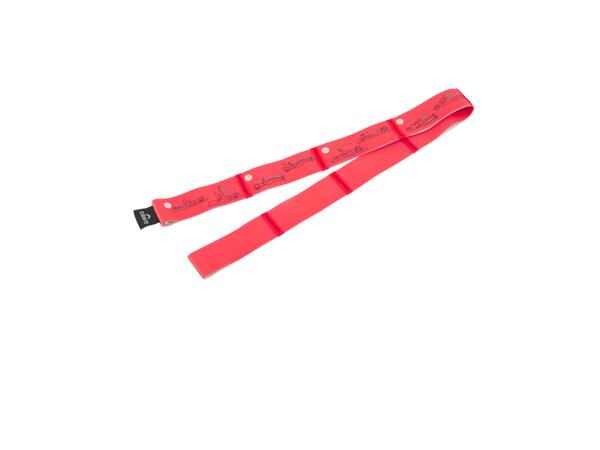 Fitness Accessories