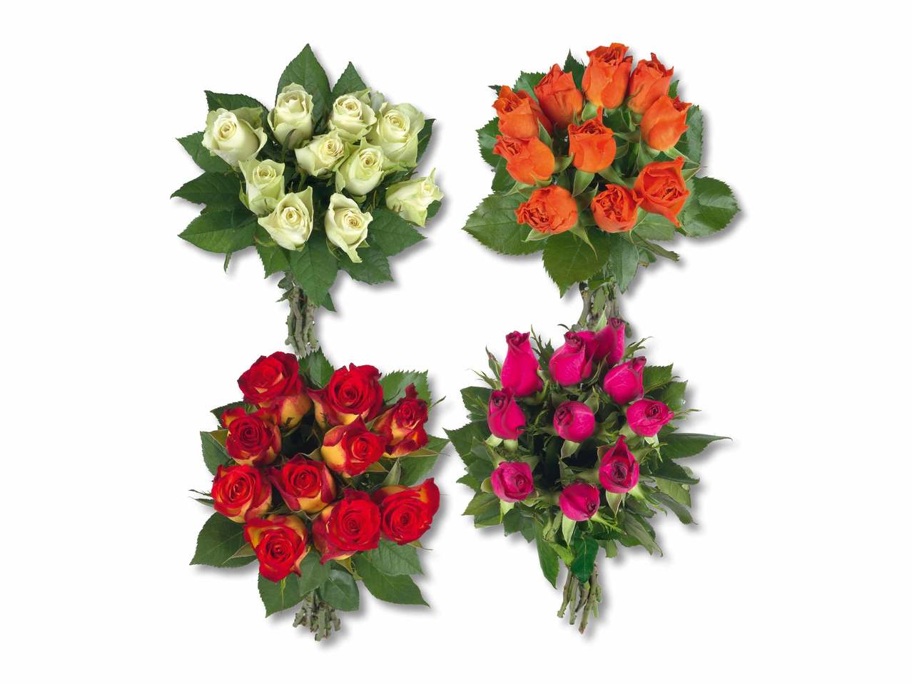 Roses Fairtrade
