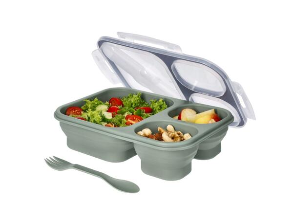 Collapsible Food Storage Containers, 4 Pieces or Collapsible Lunchbox