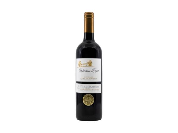 Château Hyot Castillon Côtes 2018