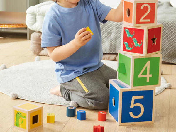 Wooden Toy