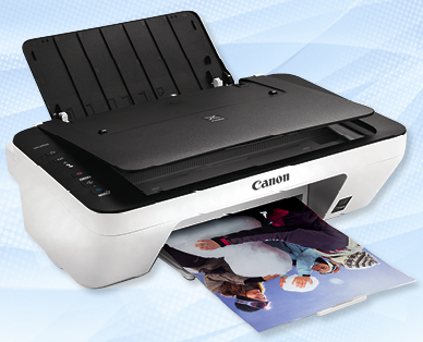 CANON "3 in 1" Drucker PIXMA MG2950s