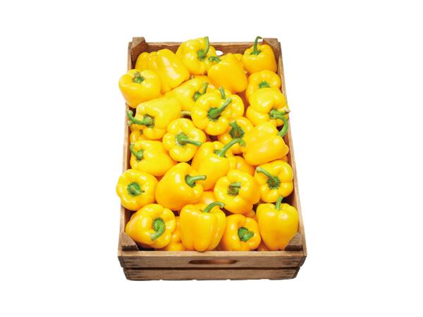 Paprika gul