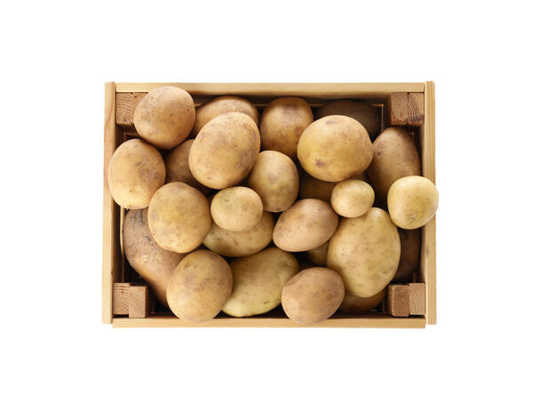Färskpotatis i papplåda