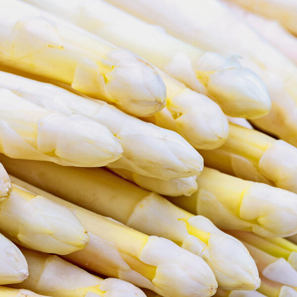 Spargel