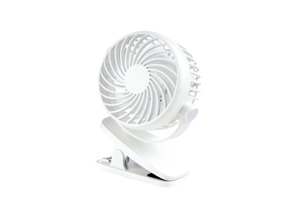 Portable Fan