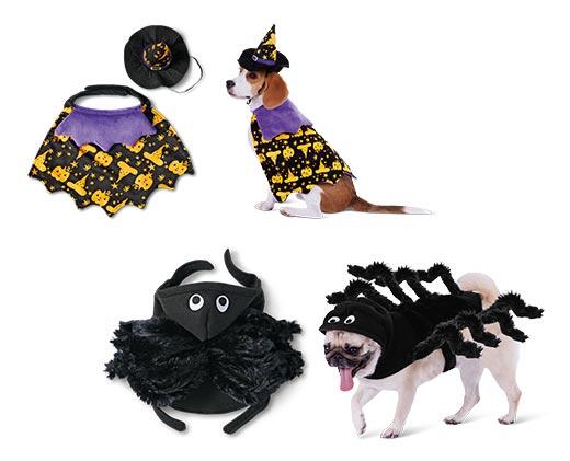 Heart to Tail Pet Halloween Costume