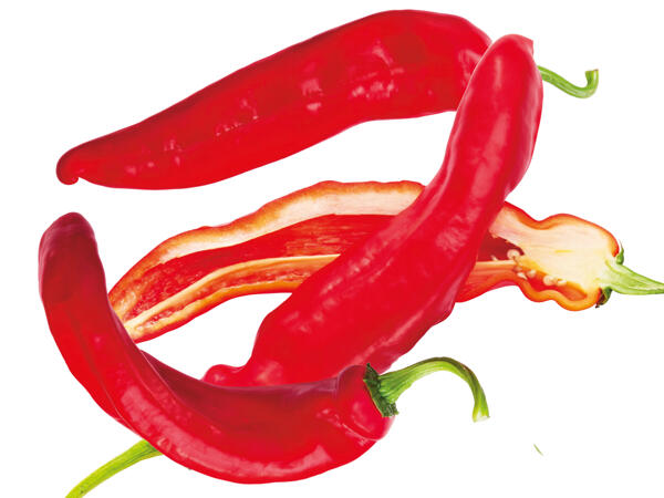 Spitzpaprika rot