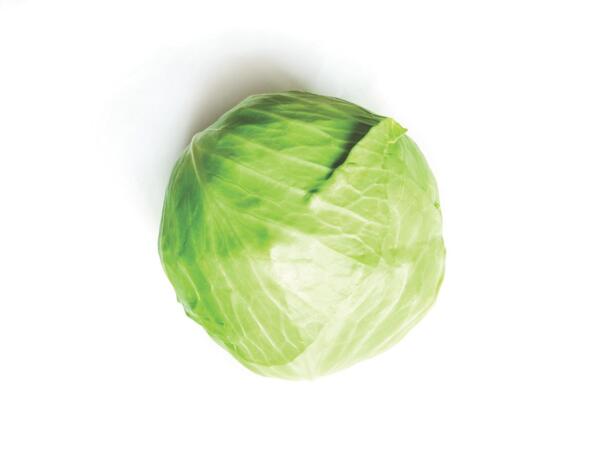 White cabbage