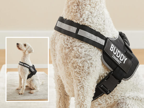 Zoofari Hundsele med reflex