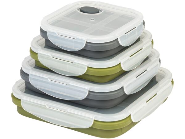Collapsible Storage Containers