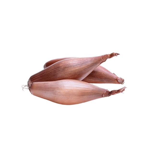 Echalion