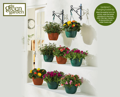 Hanging Baskets/Planters