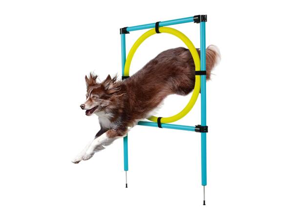 Zoofari Dog Agility Set